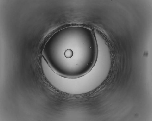 X0000091861160200709261248