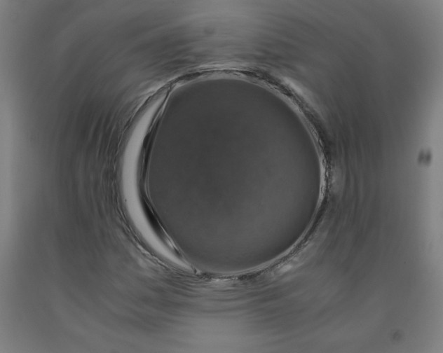 X0000091861161200709261248