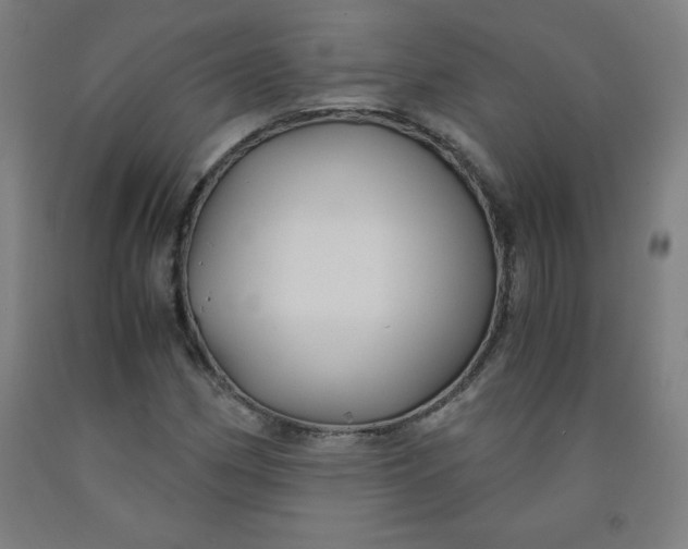 X0000091861162200709261248