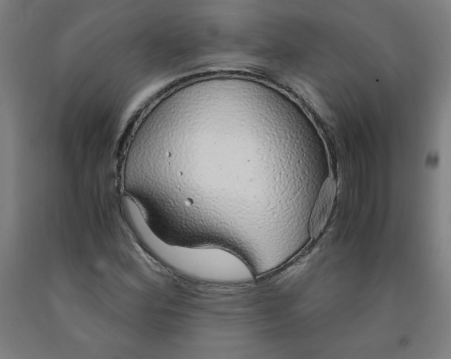 X0000091861164200709261248