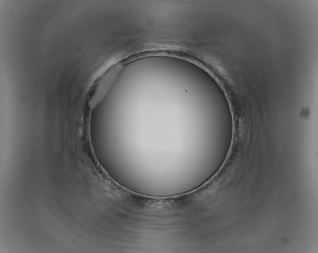 X0000091861165200709261248