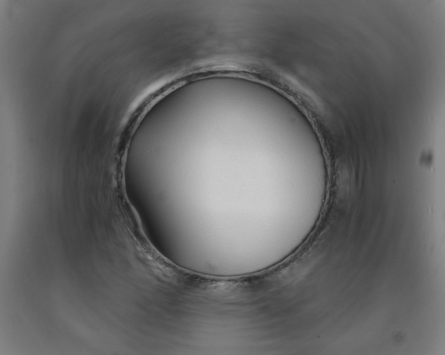 X0000091861166200709261248