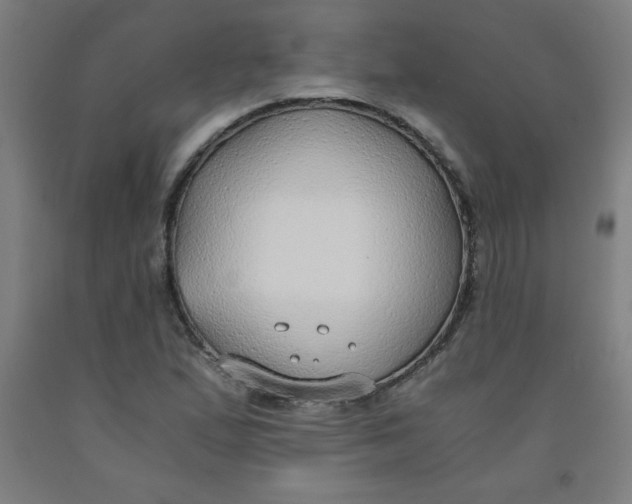 X0000091861167200709261248