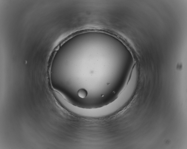 X0000091861168200709261248