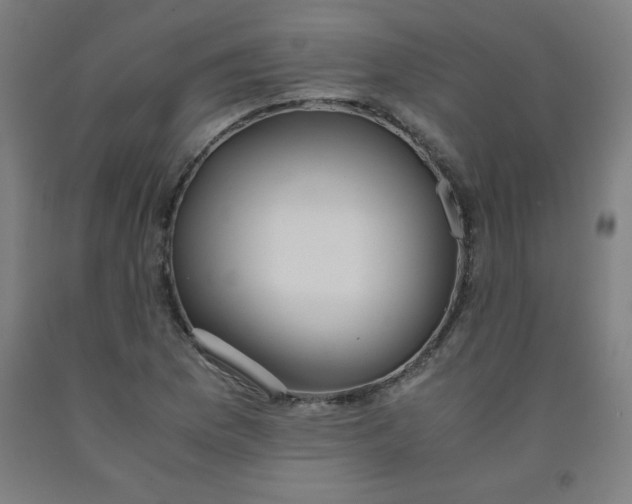 X0000091861169200709261248