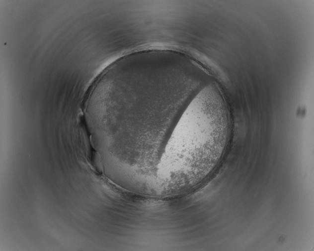 X0000091861170200709261248