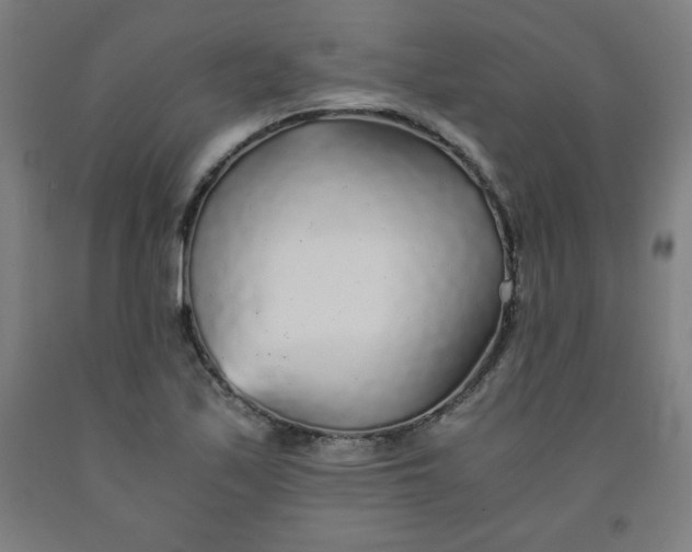 X0000091861171200709261248