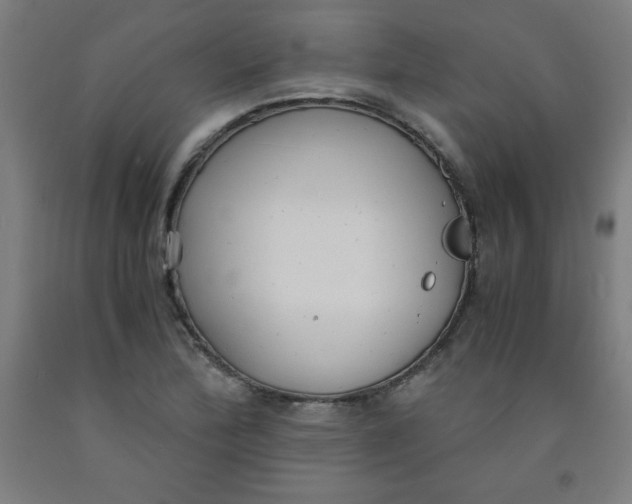 X0000091861172200709261248