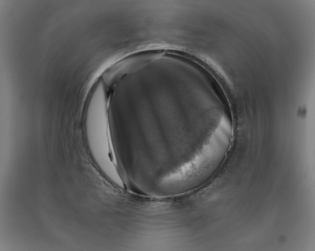 X0000091861173200709261248