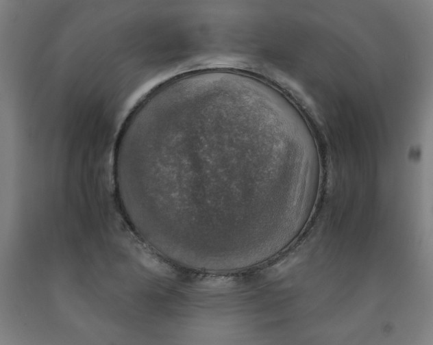 X0000091861174200709261248