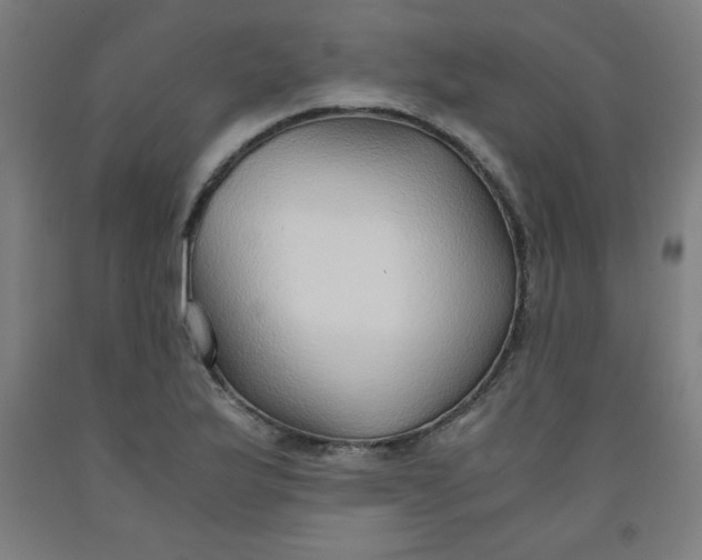 X0000091861175200709261248