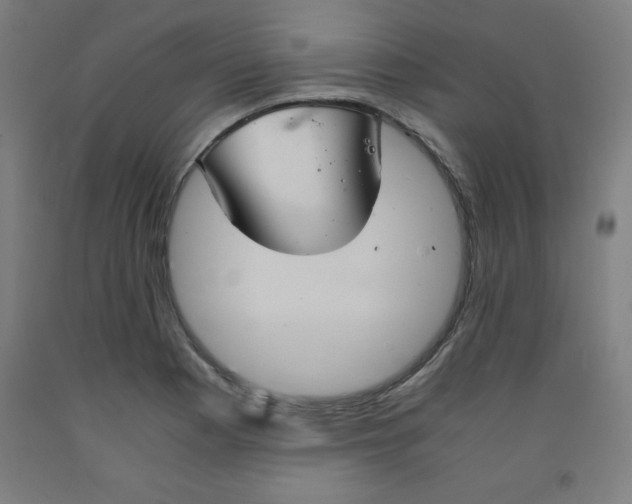 X0000091861177200709261248