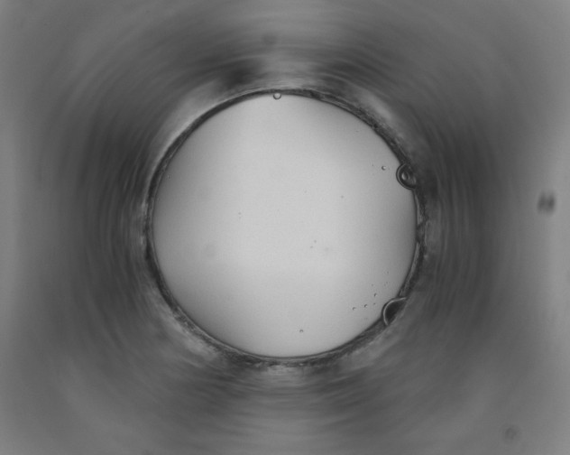 X0000091861178200709261248