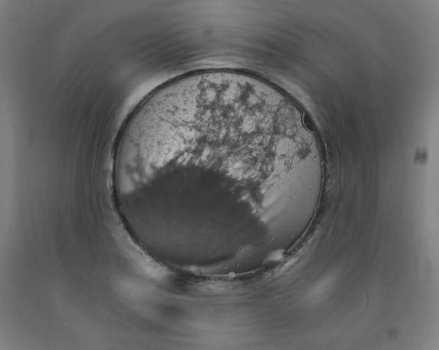 X0000091861179200709261248