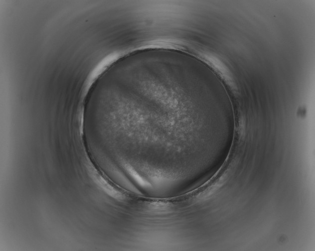 X0000091861180200709261248