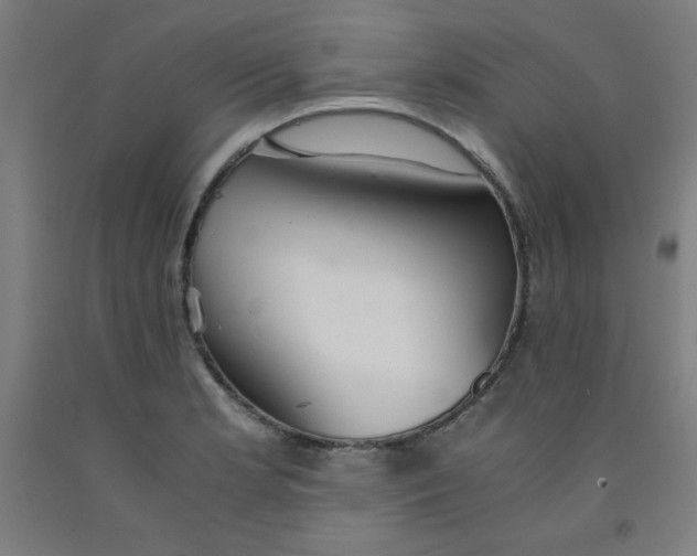 X0000091861181200709261248