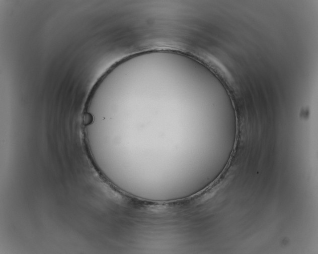 X0000091861182200709261248