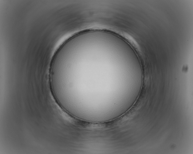 X0000091861183200709261248