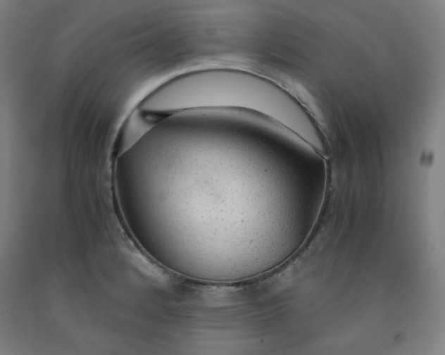 X0000091861184200709261248