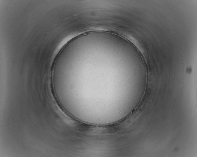 X0000091861187200709261248