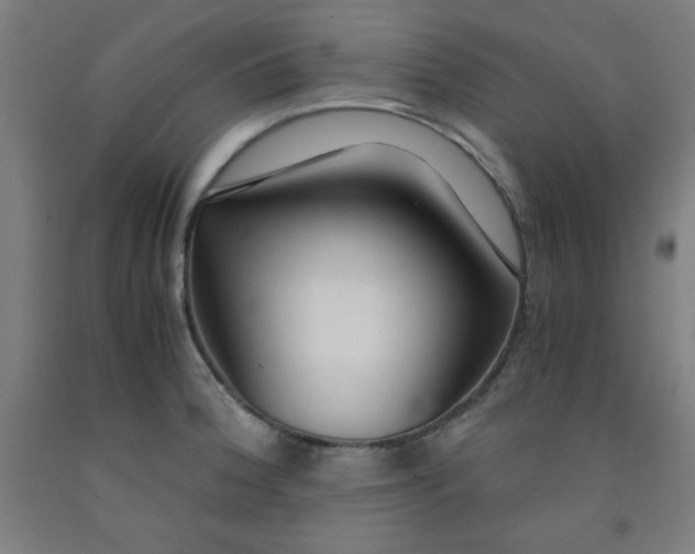 X0000091861188200709261248