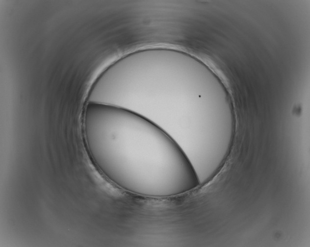 X0000091861189200709261248