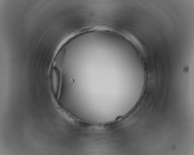 X0000091861190200709261248