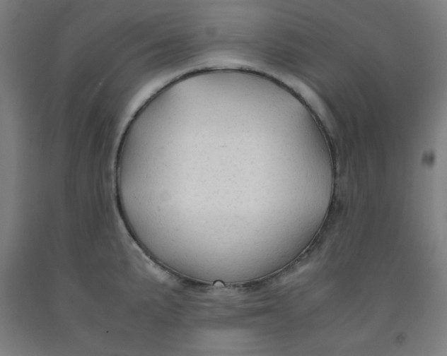 X0000091861191200709261248