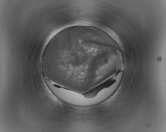 X0000091861192200709261248