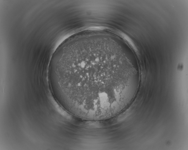 X0000091861194200709261248