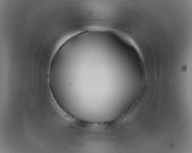 X0000091861195200709261248