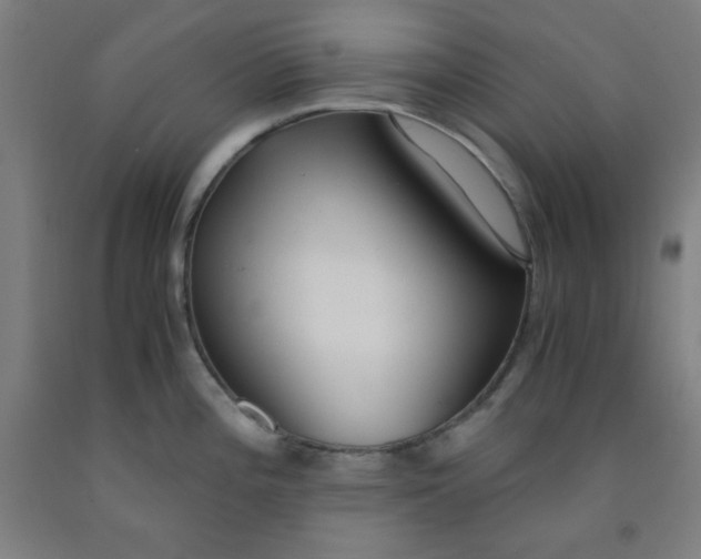 X0000091861196200709261248