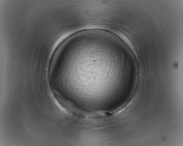 X0000091861197200709261248