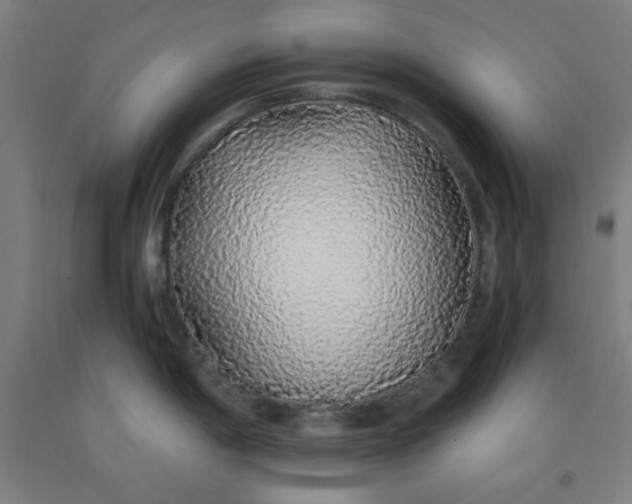 X0000091861198200709261248