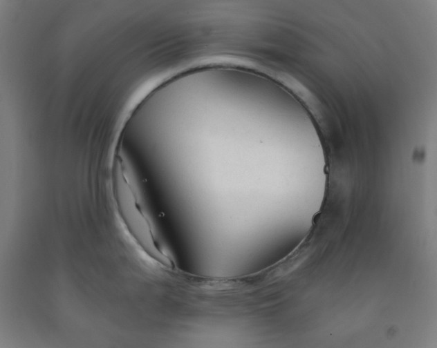 X0000091861199200709261248