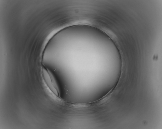 X0000091861200200709261248