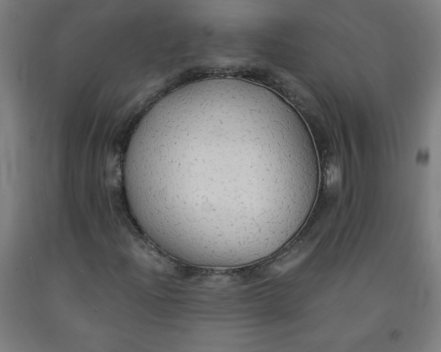 X0000091861204200709261247