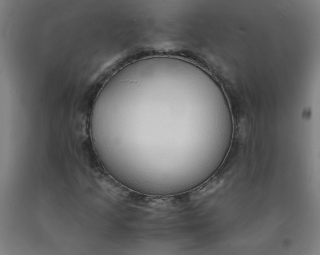 X0000091861205200709261247