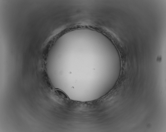 X0000091861207200709261247