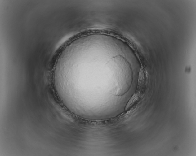 X0000091861208200709261247