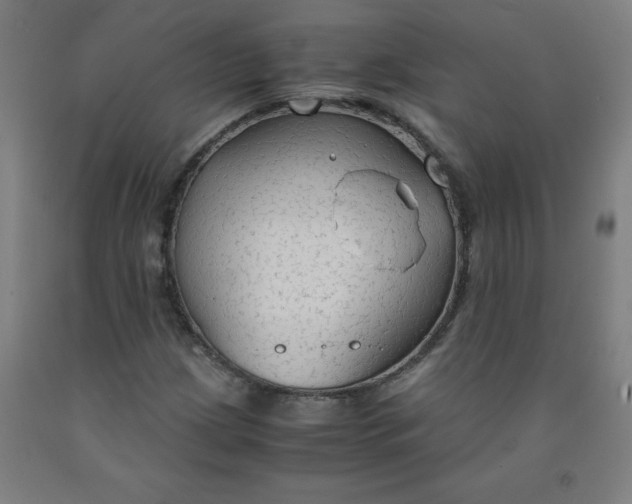 X0000091861209200709261247