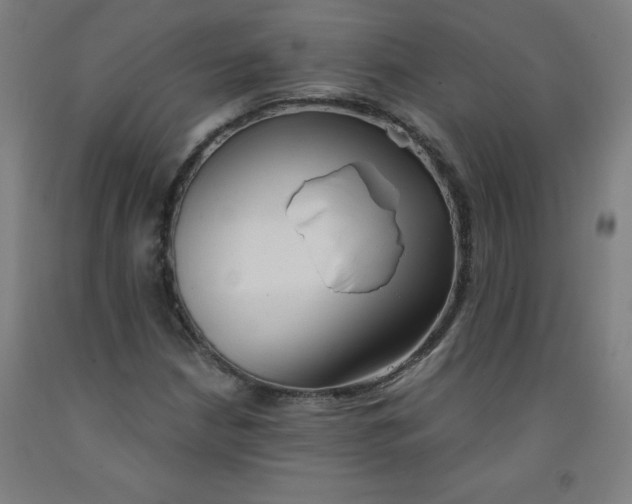 X0000091861210200709261247