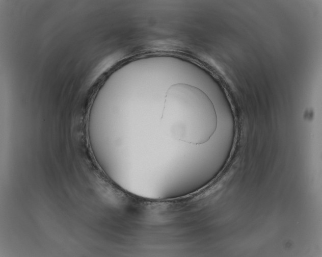 X0000091861211200709261247