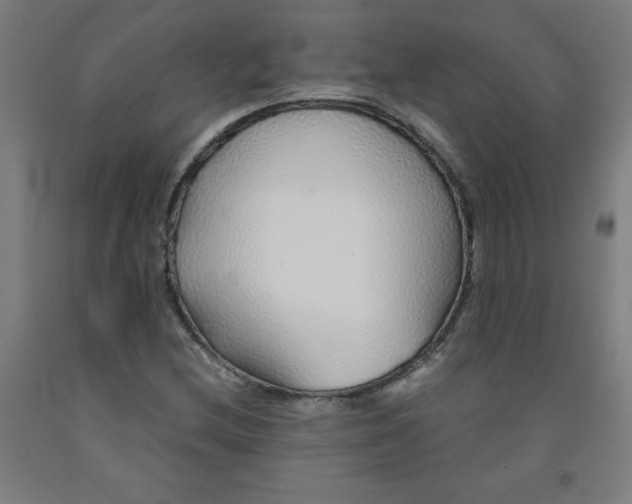 X0000091861212200709261247