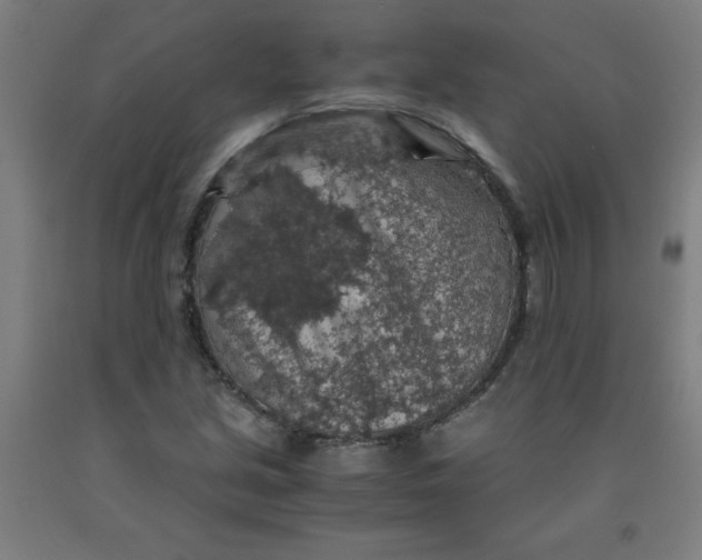 X0000091861213200709261247