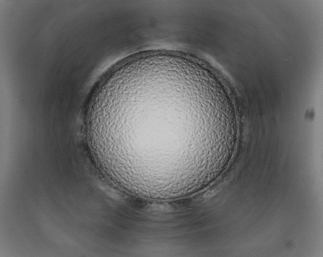 X0000091861215200709261247