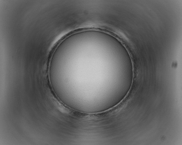 X0000091861216200709261247