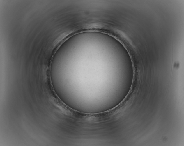 X0000091861217200709261247