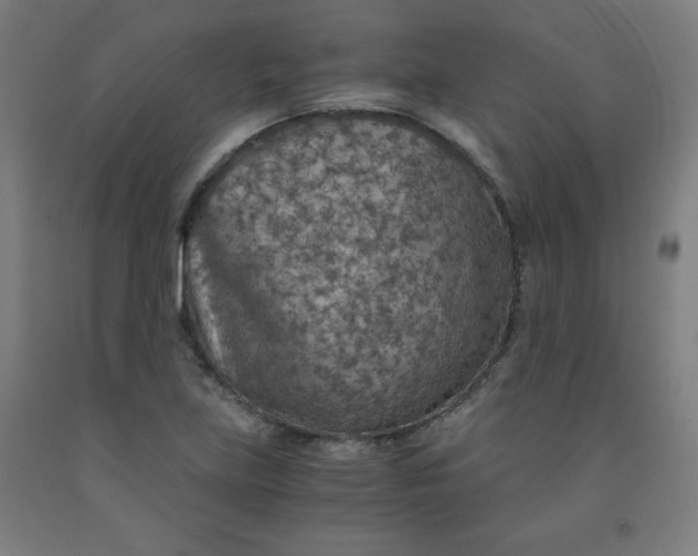 X0000091861219200709261247