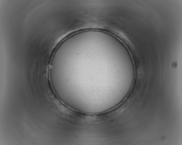 X0000091861220200709261247